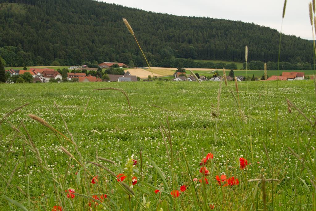 Fewo Alte Schule Willingen  Eksteriør billede
